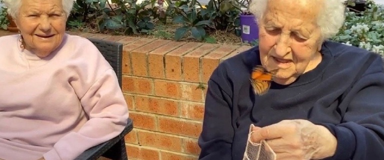 Two elderly ladies releasing a butterfly from its cage Two elderly ladies releasing a butterfly from its cage