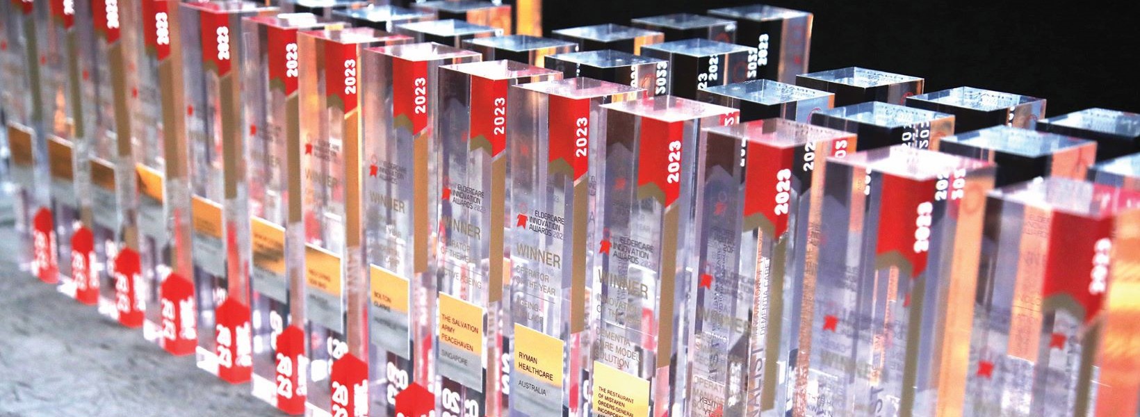 Excellence at Eldercare Awards - 2023 Trophies Excellence at Eldercare Awards - 2023 Trophies