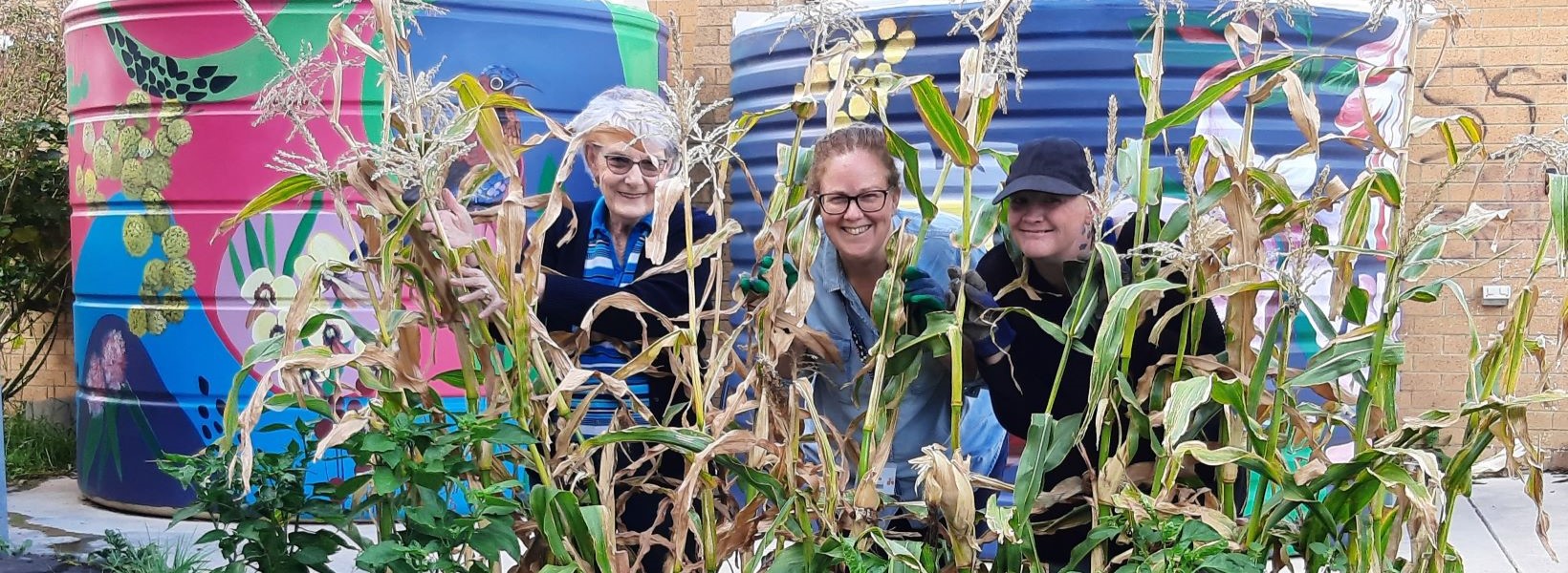 Community gardens